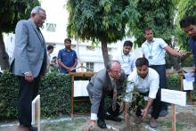 National Green Tribunal