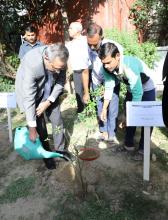 National Green Tribunal