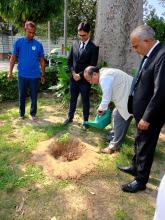 National Green Tribunal