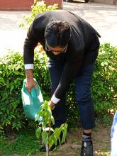 National Green Tribunal