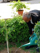 National Green Tribunal