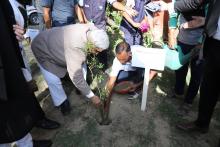 National Green Tribunal