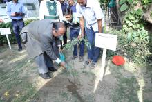 National Green Tribunal