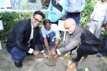 National Green Tribunal