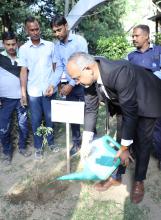 National Green Tribunal