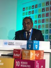 National Green Tribunal