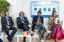 National Green Tribunal